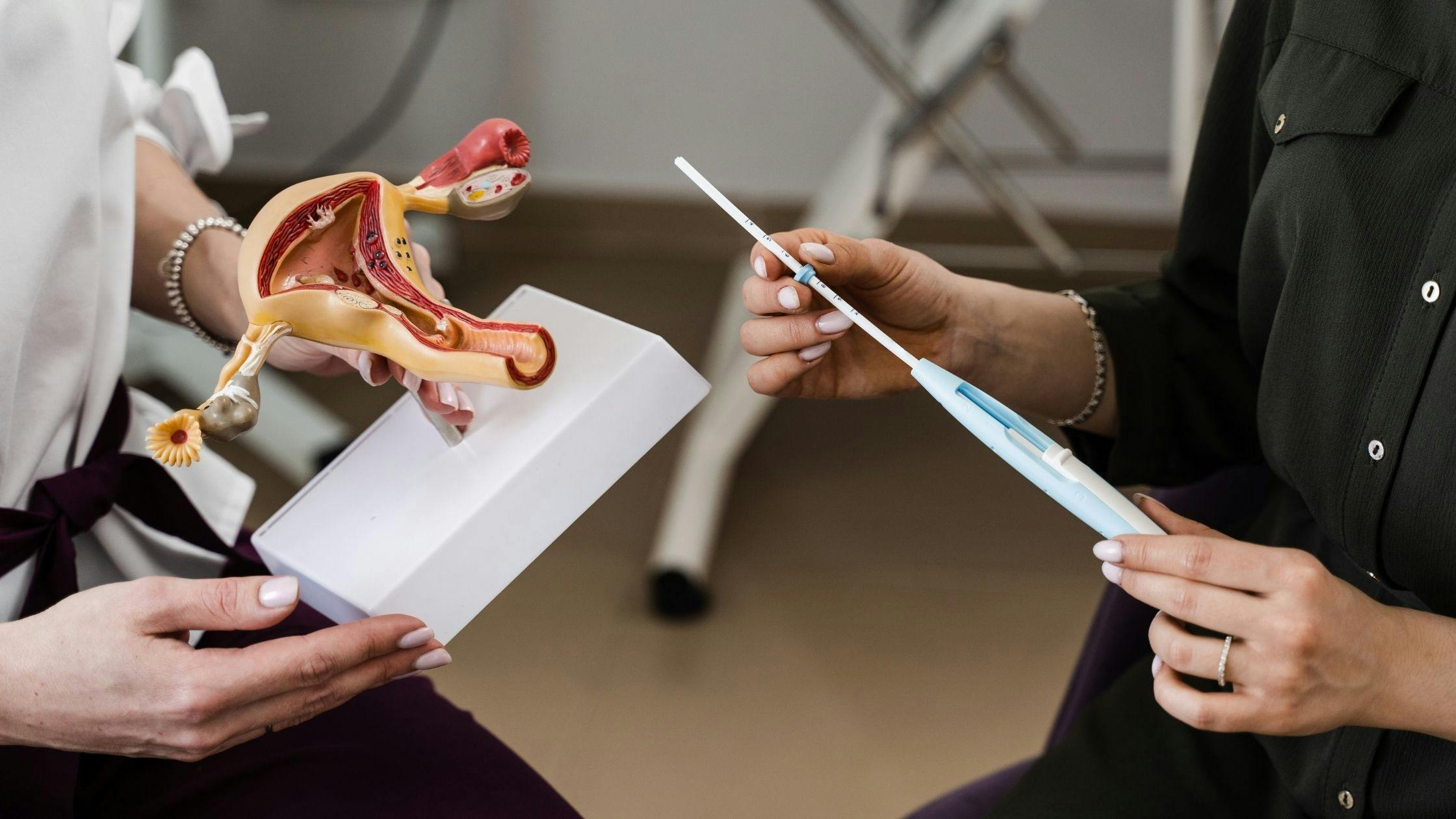 a female doctor is holding a model of the uterus and a female patient is holding a pregnancy test .