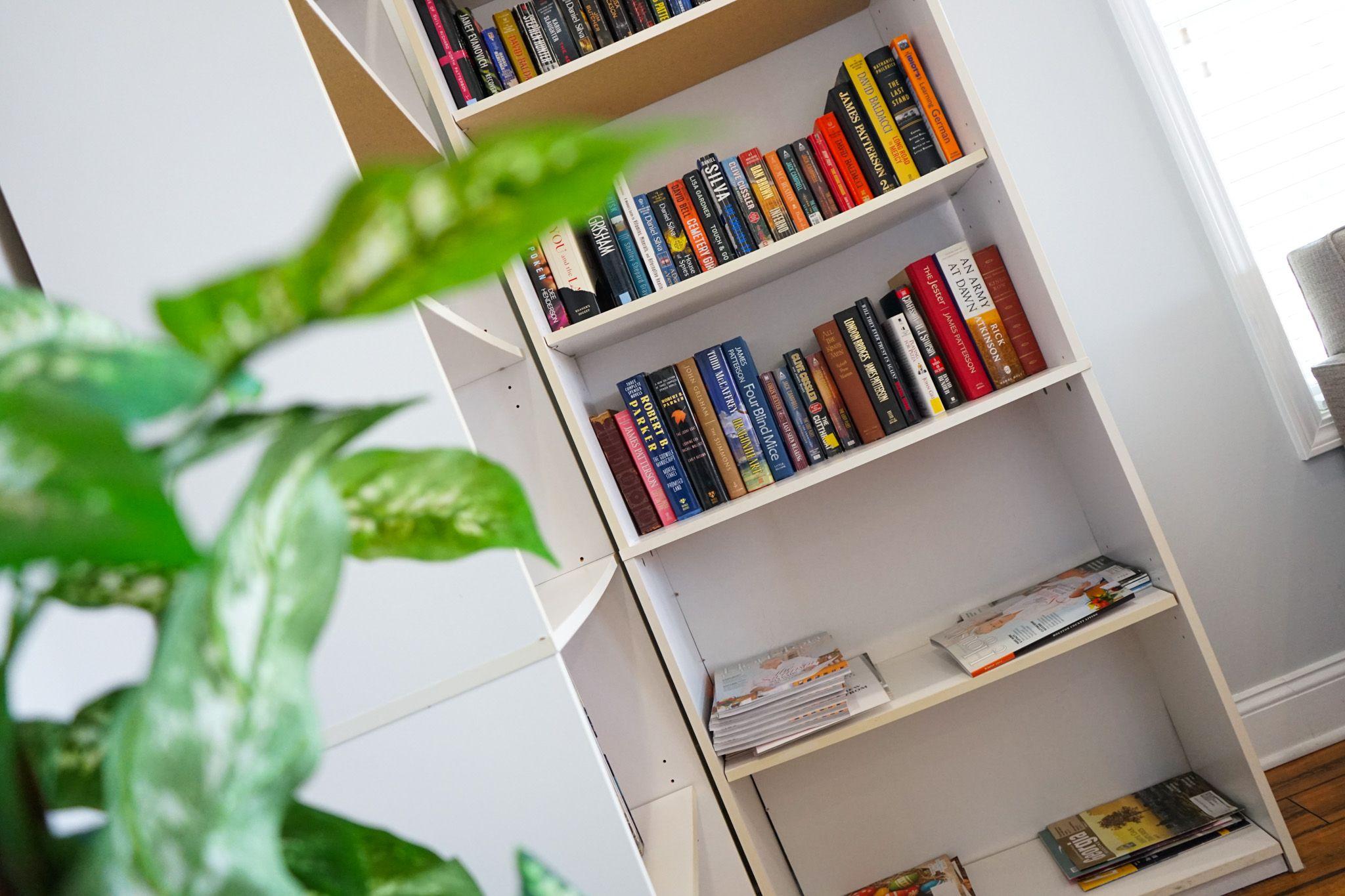 a bookshelf filled with books and magazines with a plant in the foreground .