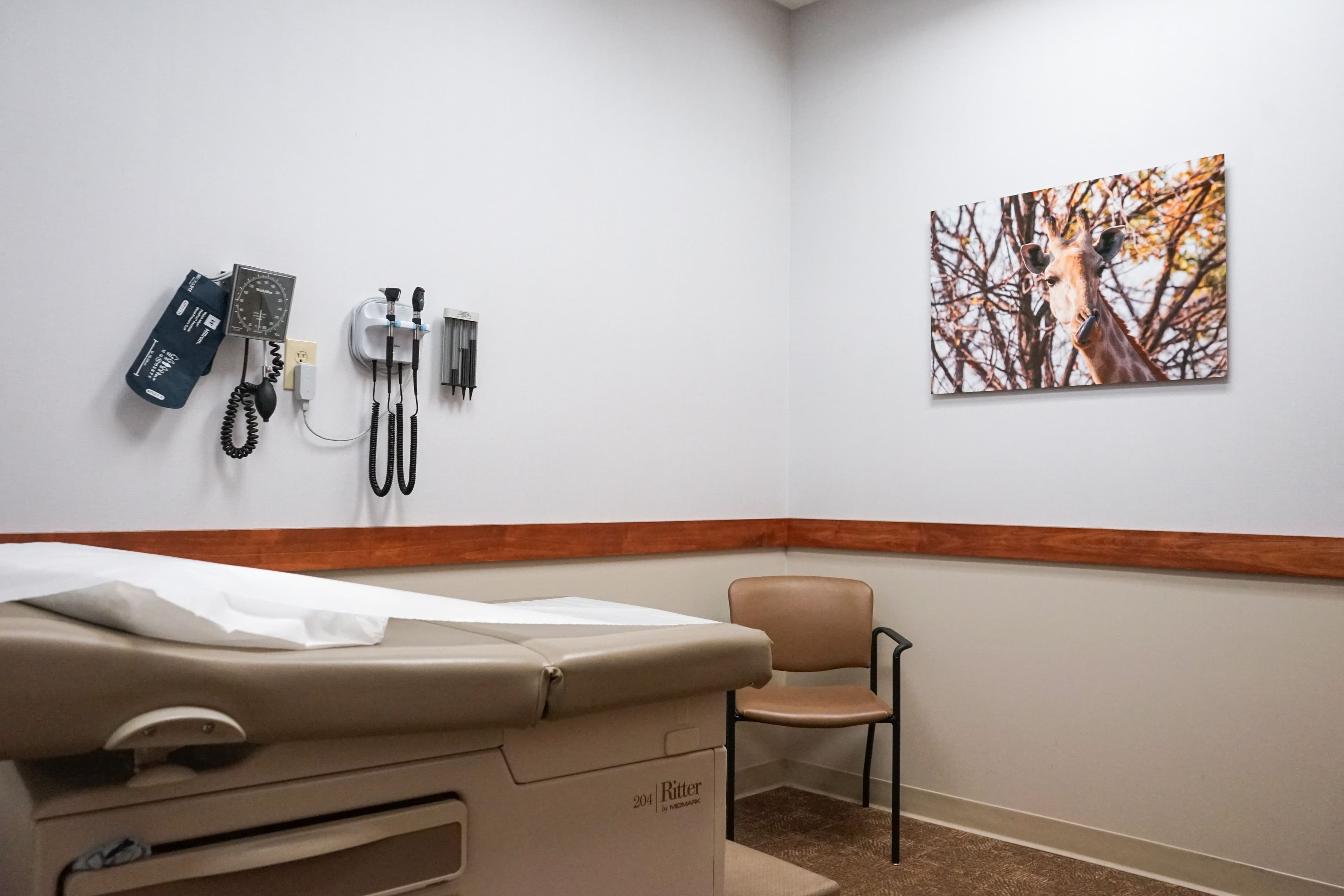 a doctor 's office with a bed , chair , and a picture on the wall .