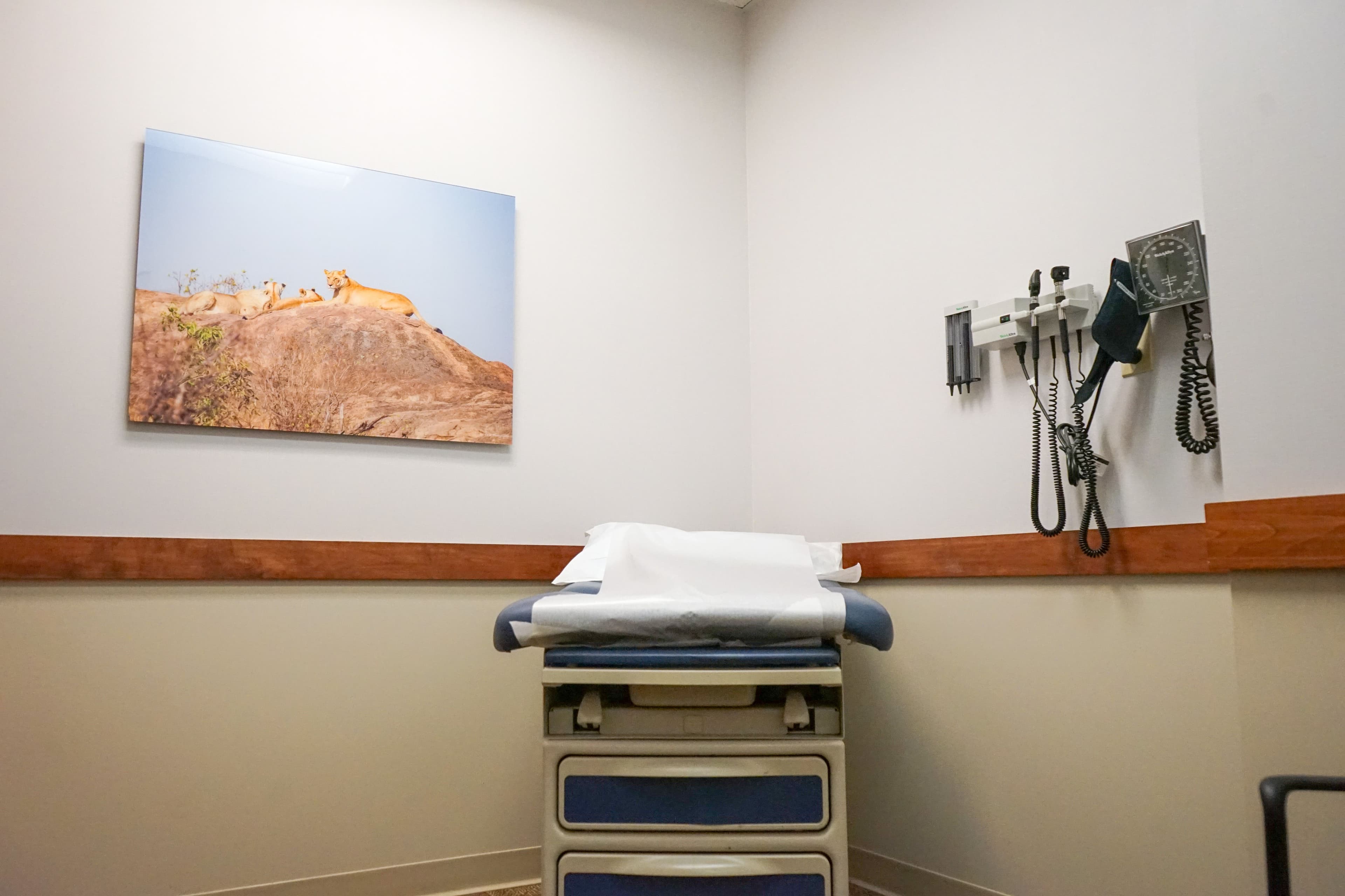 a doctor 's office with a painting of a lion on the wall .