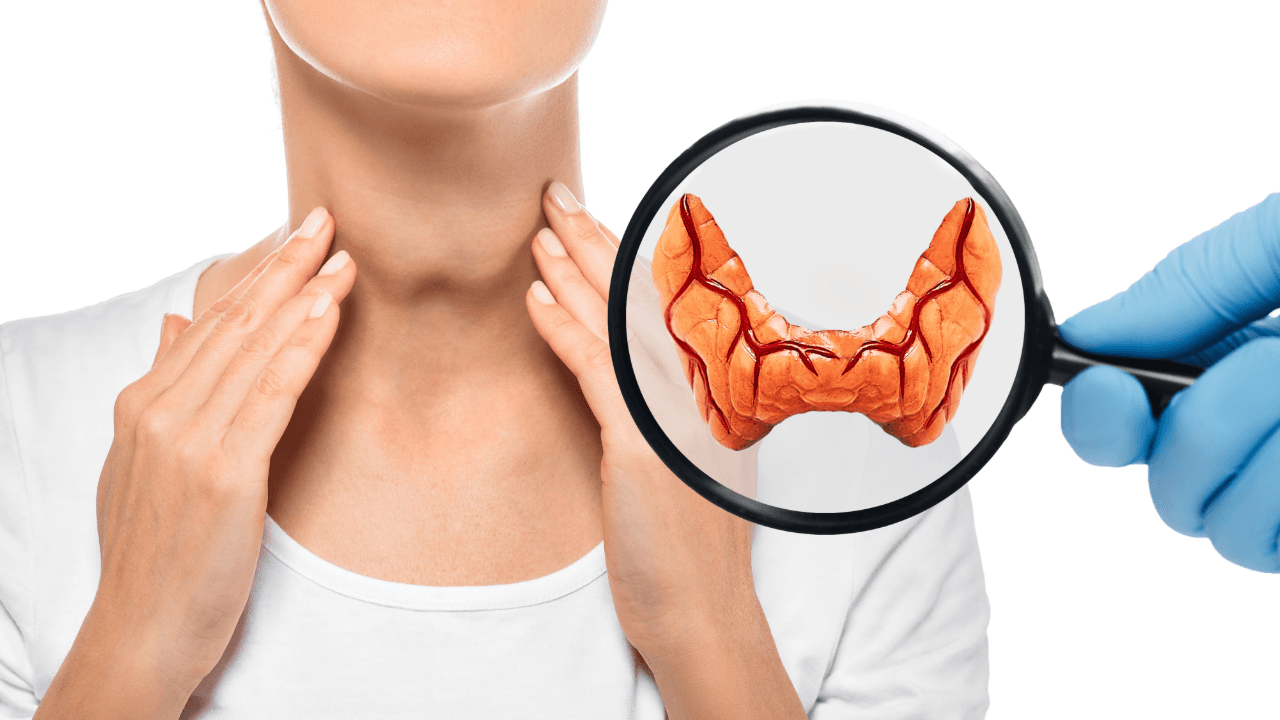 a magnifying glass shows a model of a woman 's thyroid