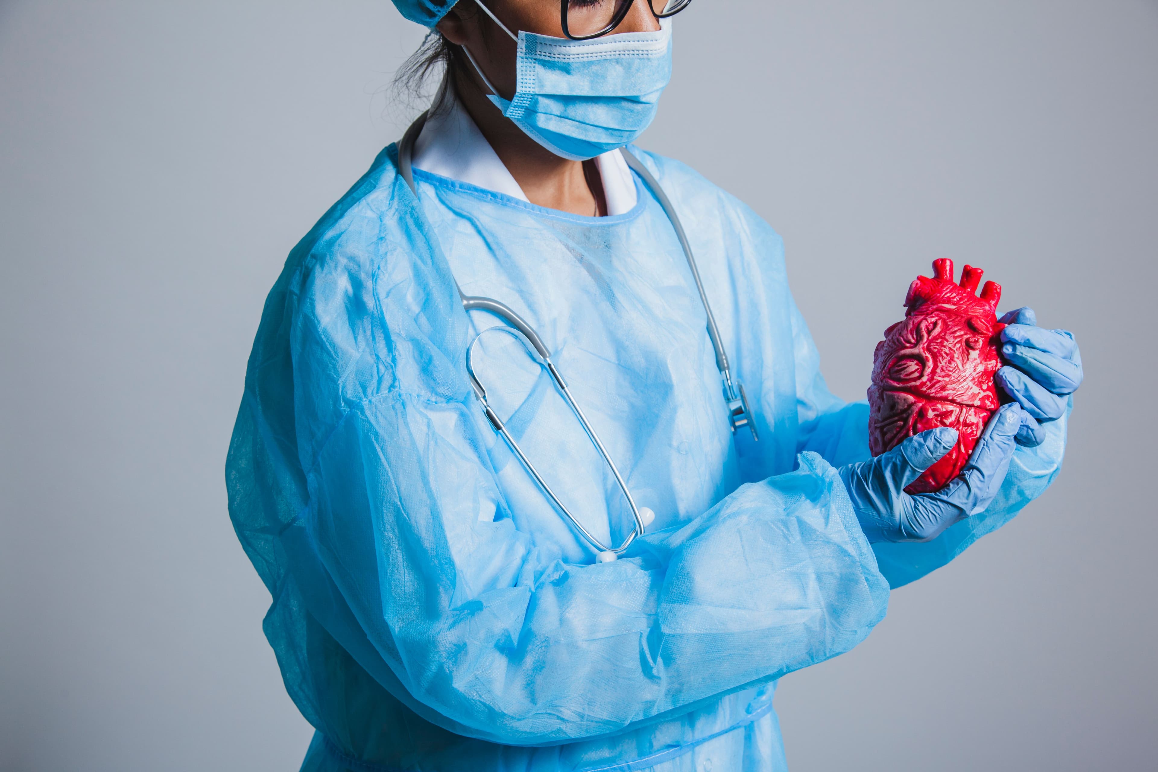 Heart Disease: a female doctor is holding a model of a human heart .
