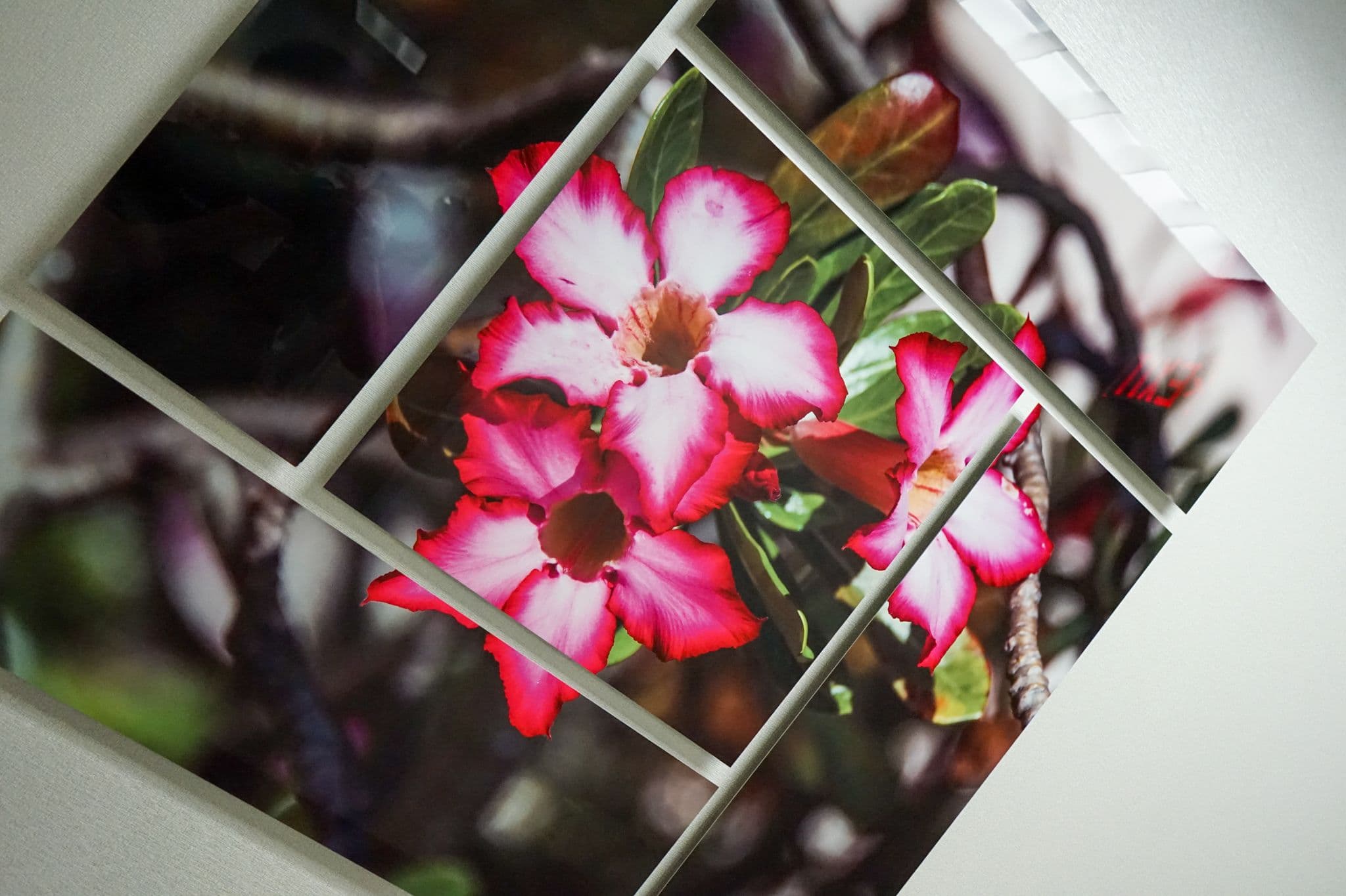 North Atlanta Primary Care at Marietta offers contemporary artwork for patients to enjoy.