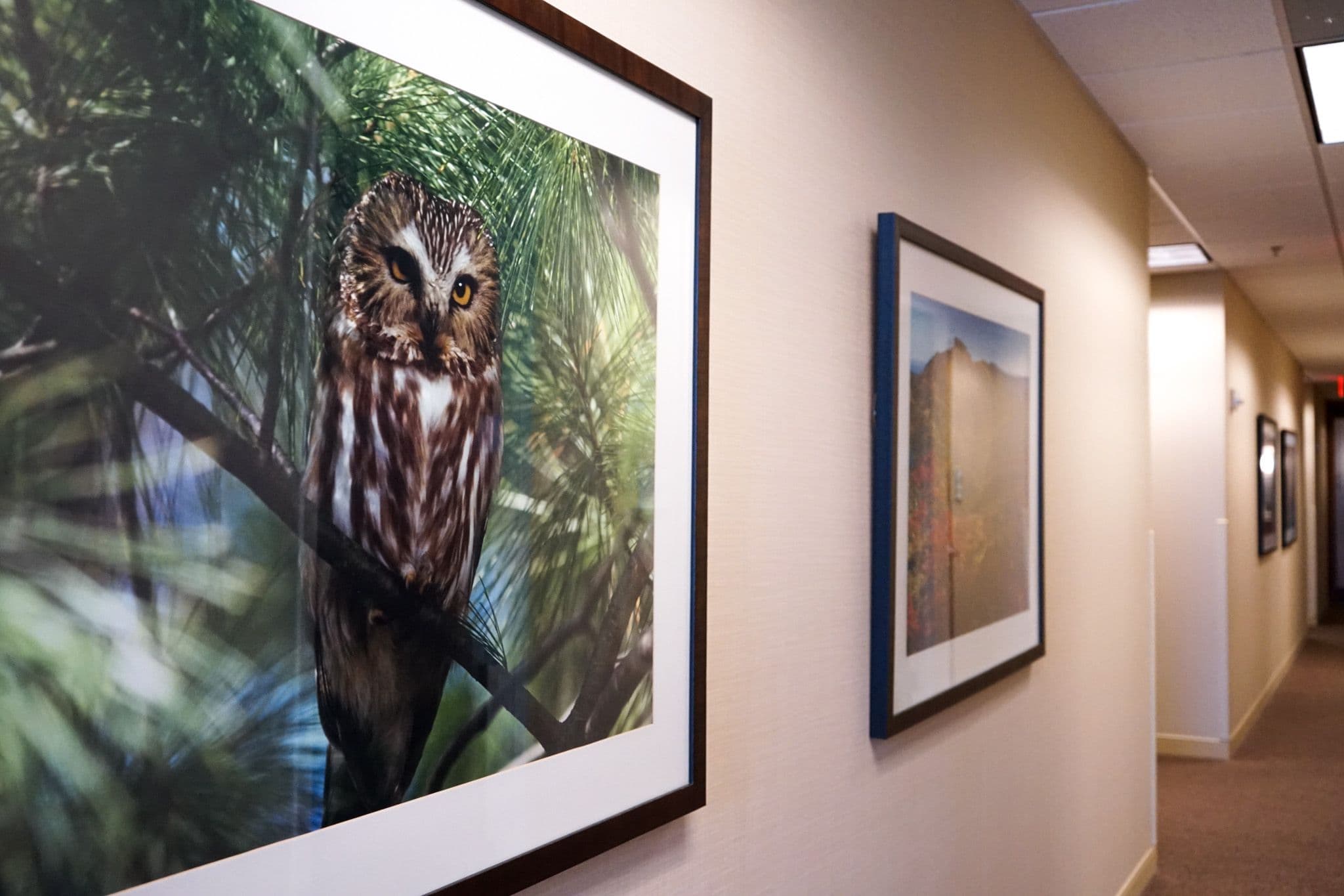 North Atlanta Primary Care in Cumming features modern artwork for patients to enjoy.