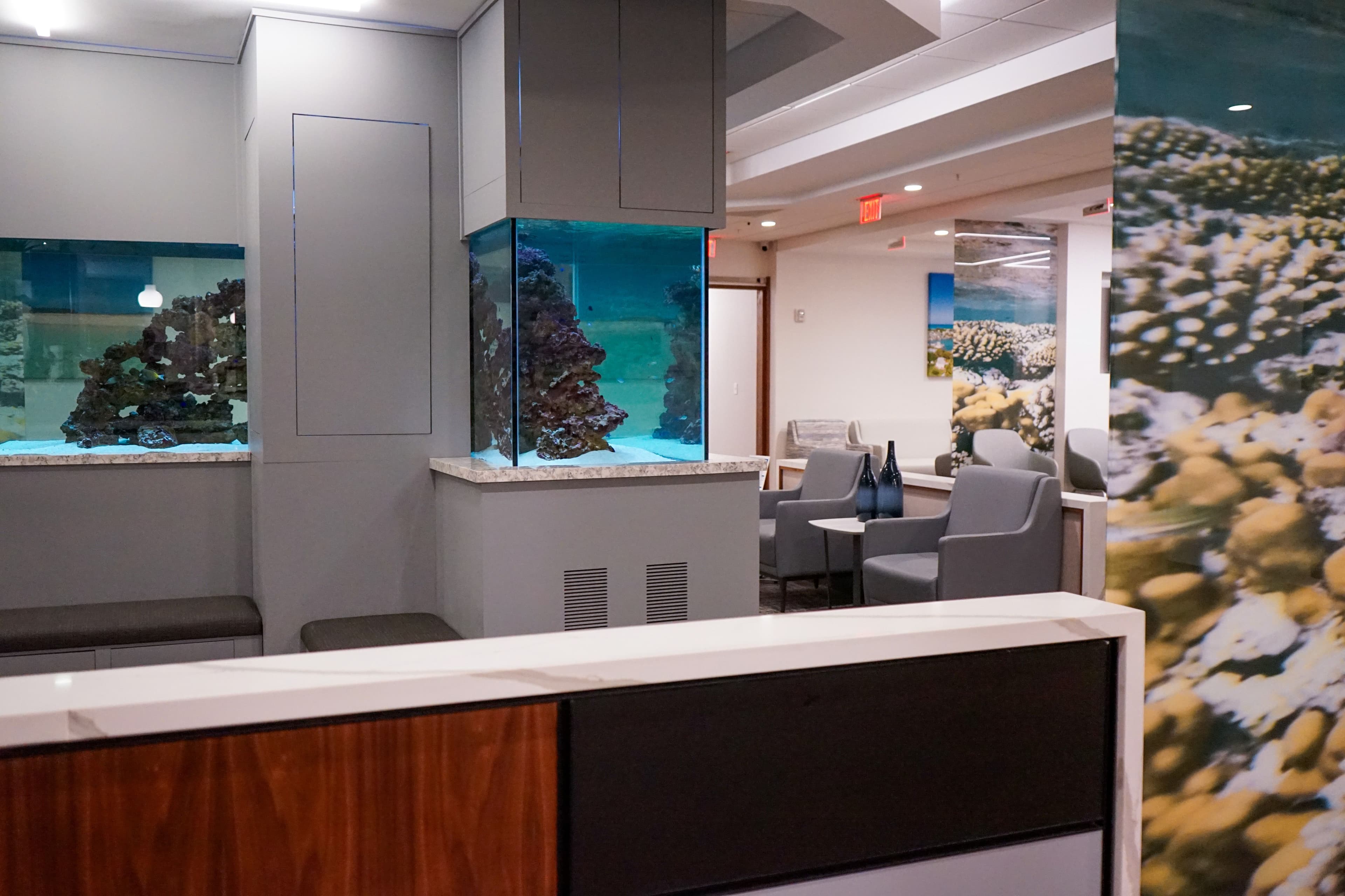 North Atlanta Primary Care Alpharetta has a large aquarium fish tank for patients to enjoy before their appointments.