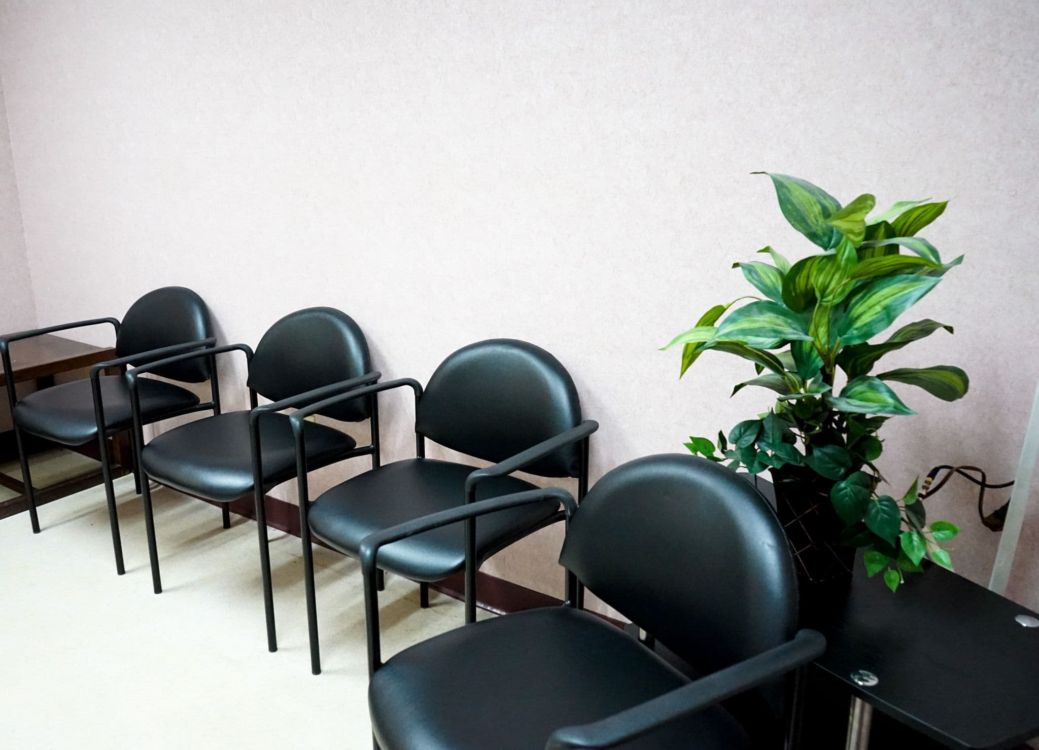 a row of black chairs in a waiting room next to a potted plant .
