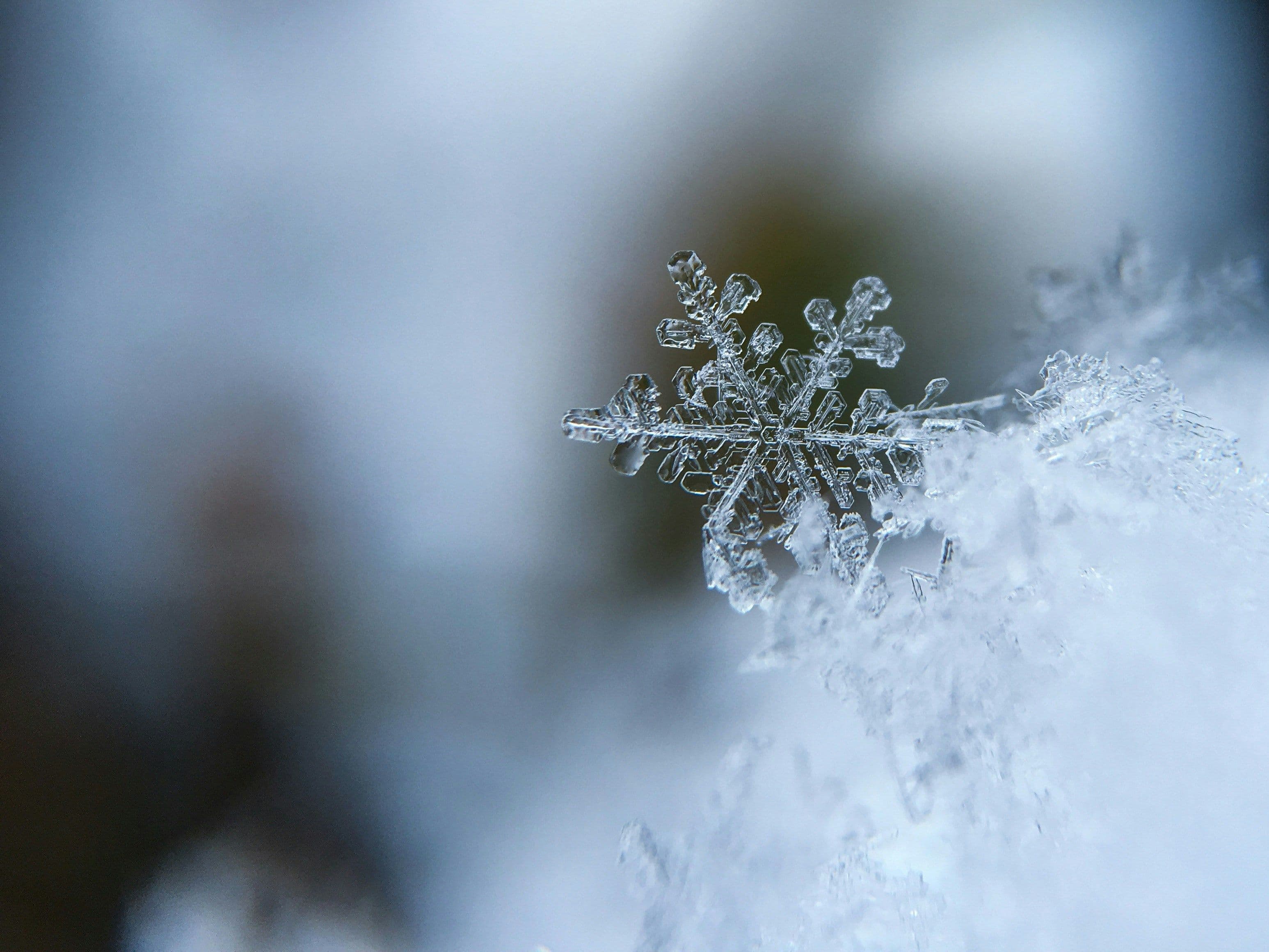 A detailed macro shot of an intricate snowflake on a bed of snow with a blurred background.