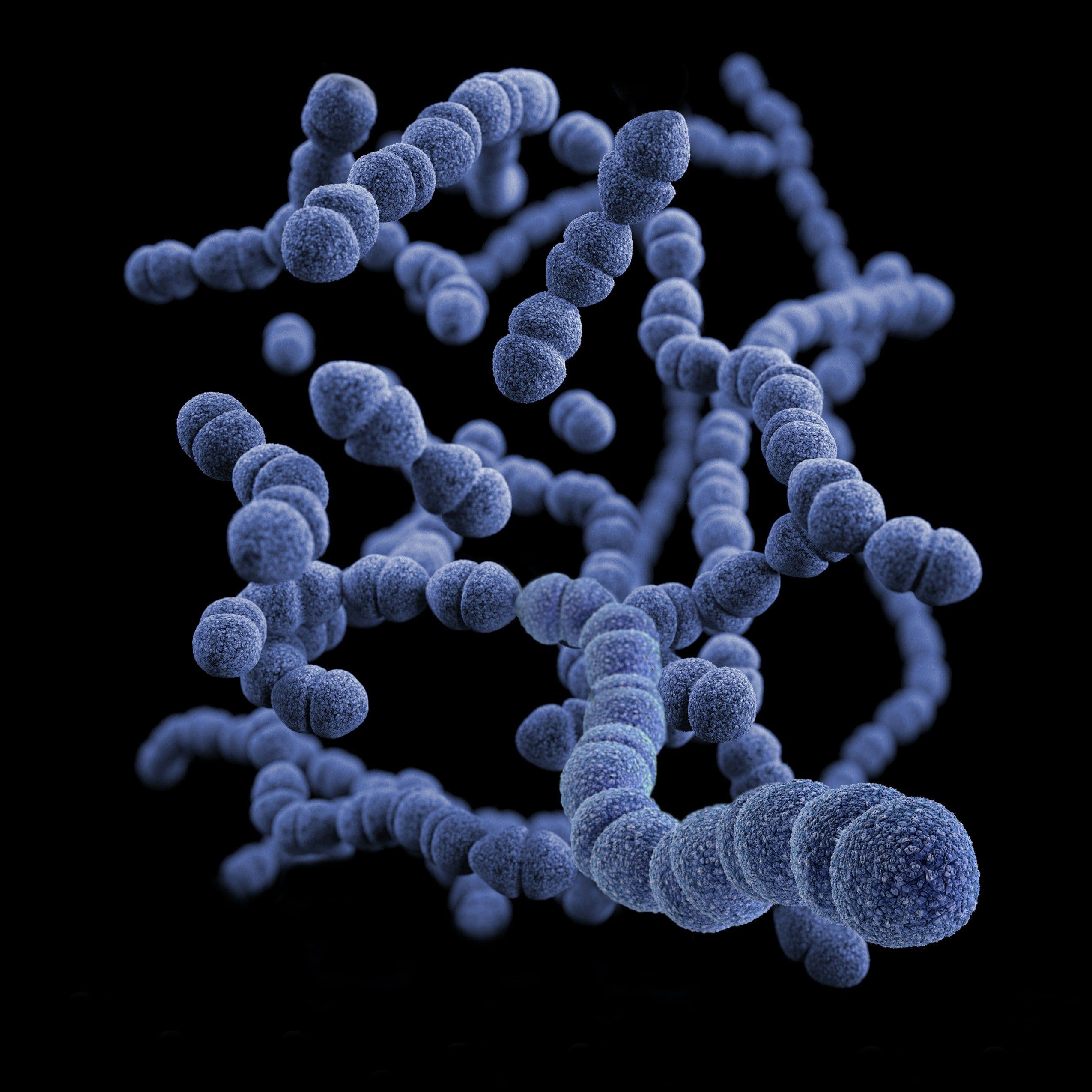 a computer generated image of a group of blue bacteria on a black background .
