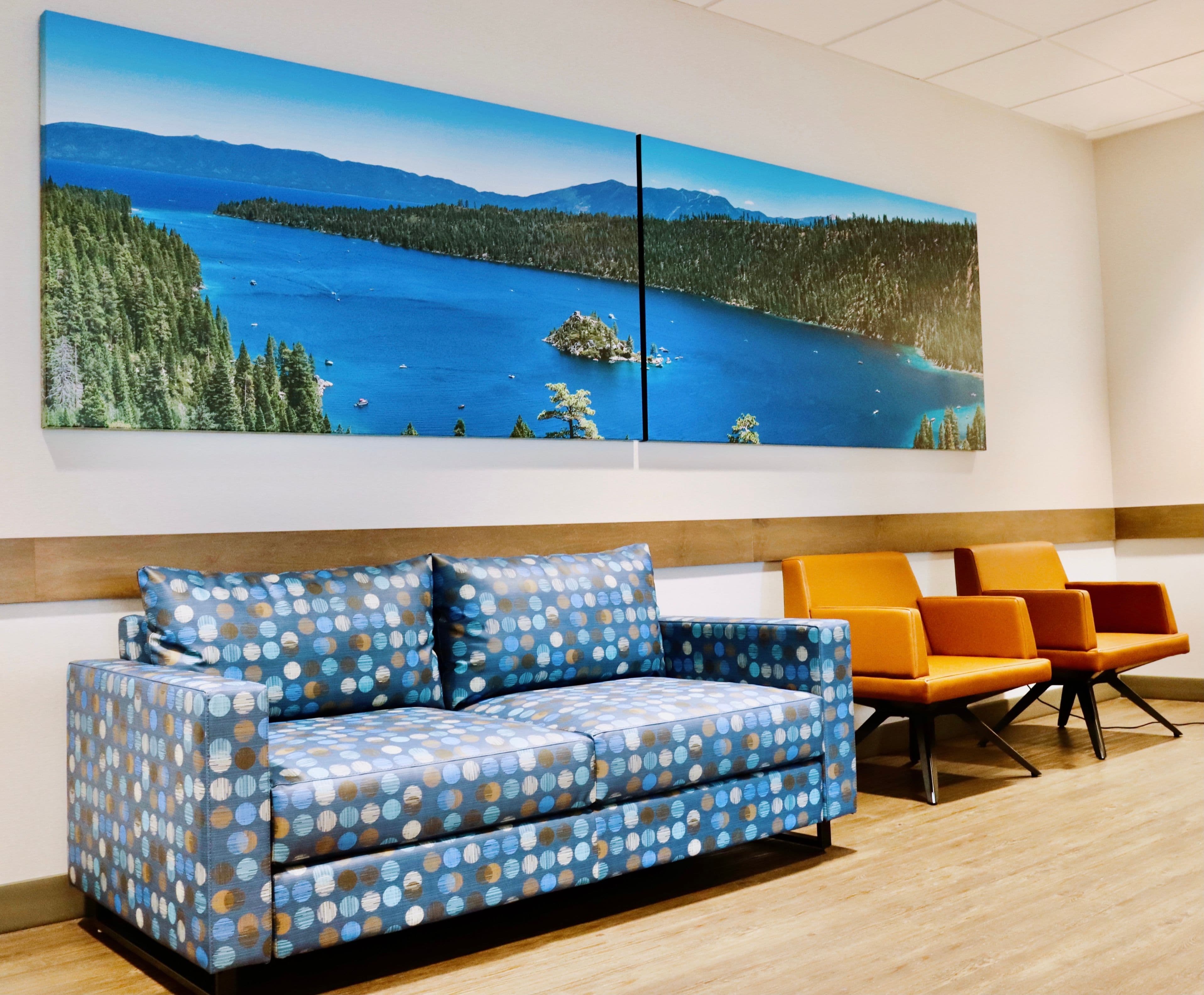 North Atlanta Primary Care in Canton offers lakeside artwork for patients to enjoy as they wait for their appointment.